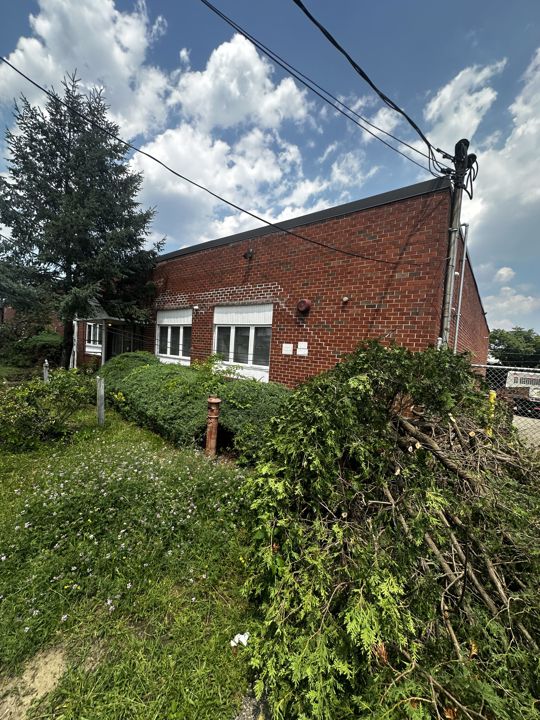 Overgrowth along the building before removal.