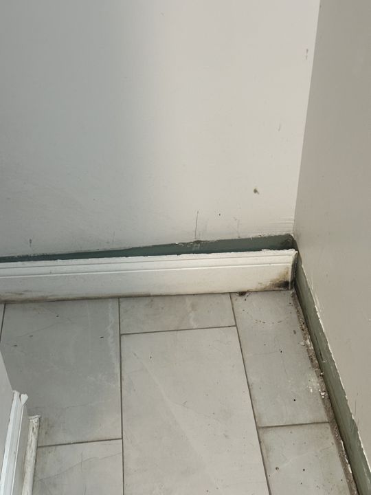 Baseboard removed where mold was found.