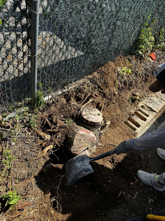 Wall in progress along the property line.
