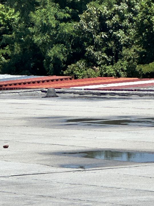 Ponding along a seam, mapped for the patch-and-seal recommendation.